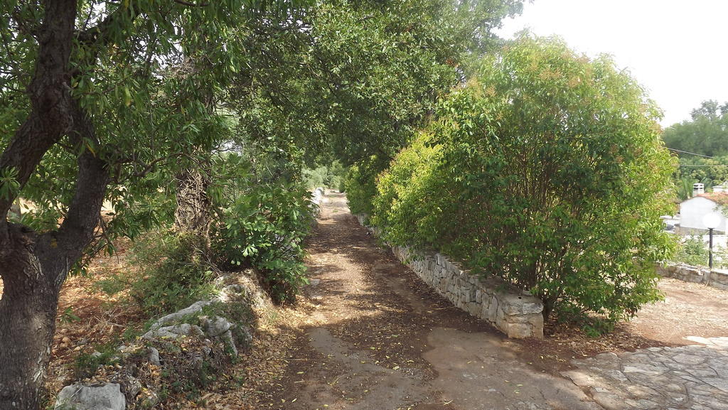Villa Apollonia B&B 莫诺波利 外观 照片